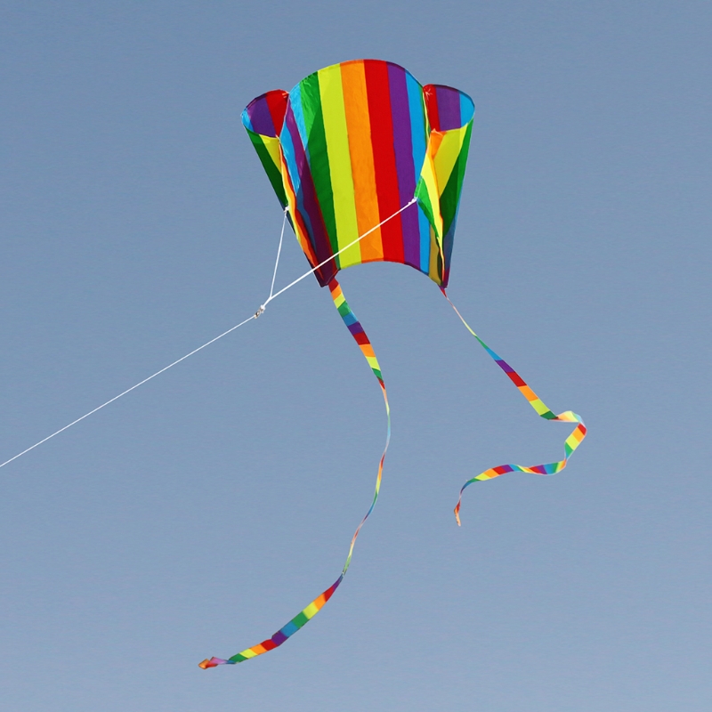 Rainbow Parafoil Kite Met Staarten Zachte Vliegeren Speelgoed Geven 30M Kite Lijn 95AE: Default Title