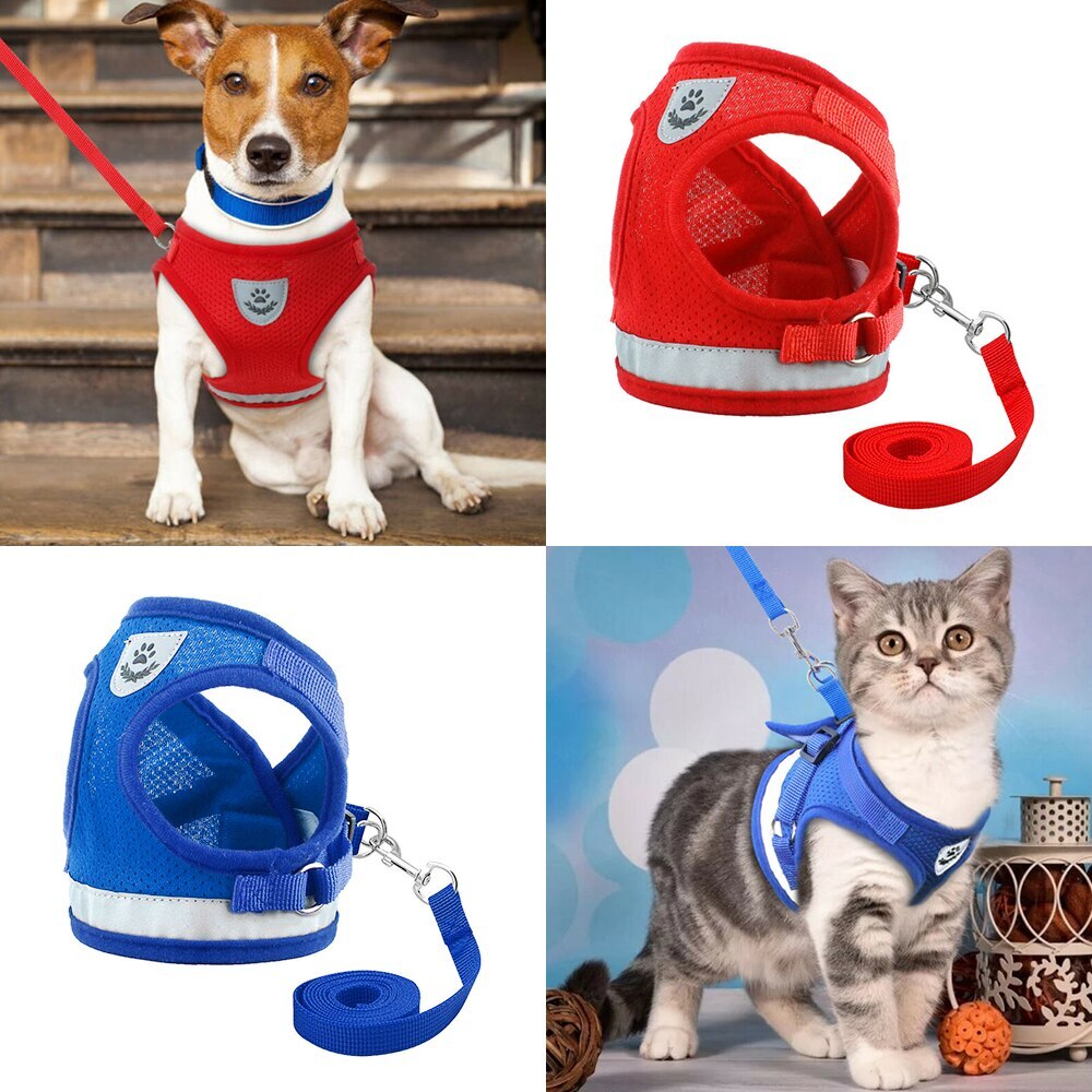 Reflecterende, ademende en verstelbare hondenlooplijn voor kleine en middelgrote honden, gemaakt van polyester mesh.