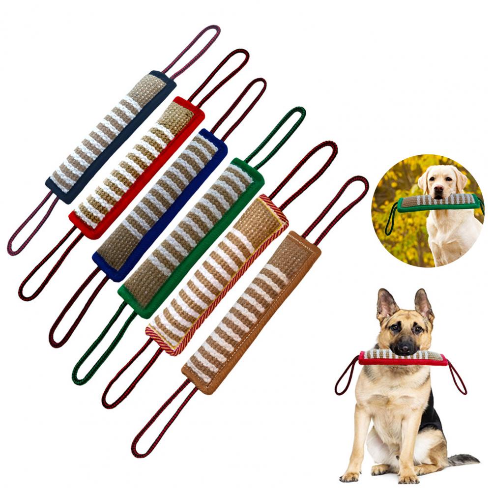 Jouet mordant pour chien, bâton robuste, motif rayé, soins dentaires, entraînement, oreiller