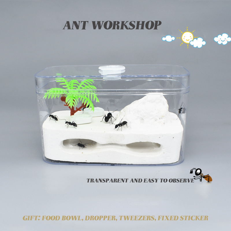 Ant House Ant Home Castle Eco Box Ant Nest Factory Cultivate Children's Interests Queen Ant Box Ant Workshop Pet Supplies