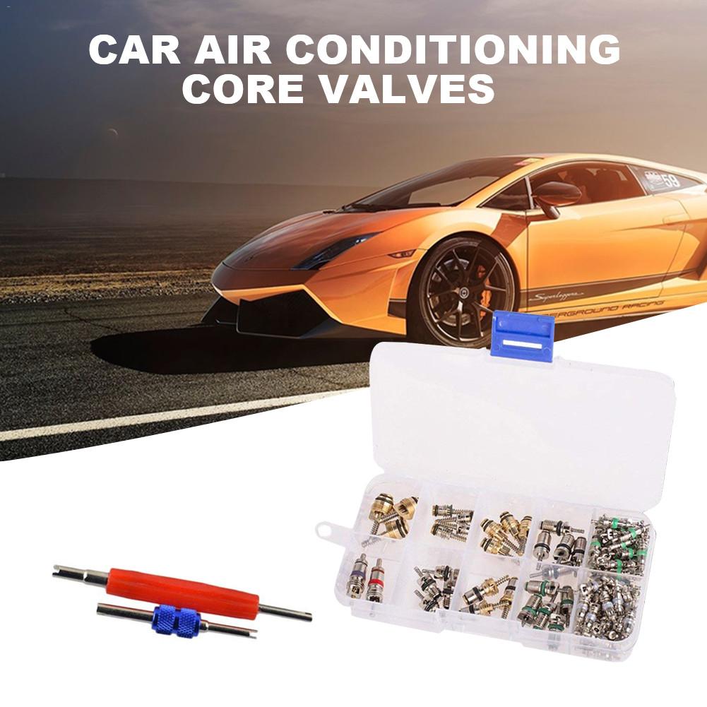 Car Air Conditioning Core Valves 102PcsR12 R134A Automotive A/C Valve Stem Cores w/Removal Tool for Car Air Contitionaing Repair