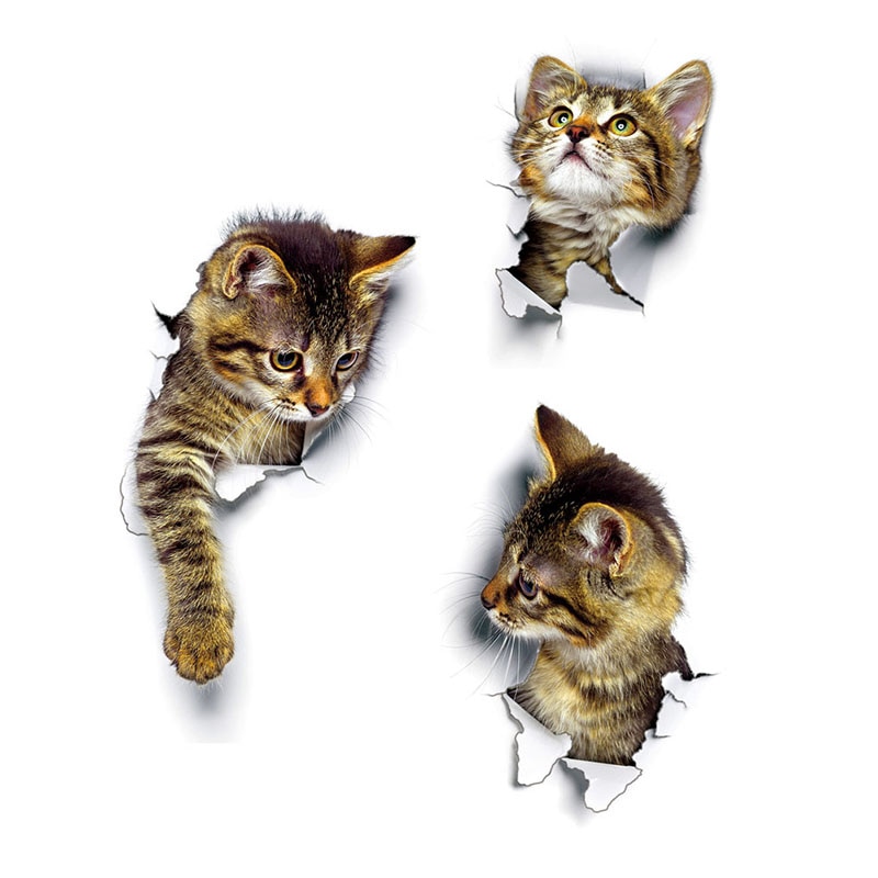 Pegatinas para pared de gatitos rotos en 3D, novedad de , pegatinas para pared de baño, pegatinas decorativas de dibujos animados para decoración de ventanas, habitaciones y hogares
