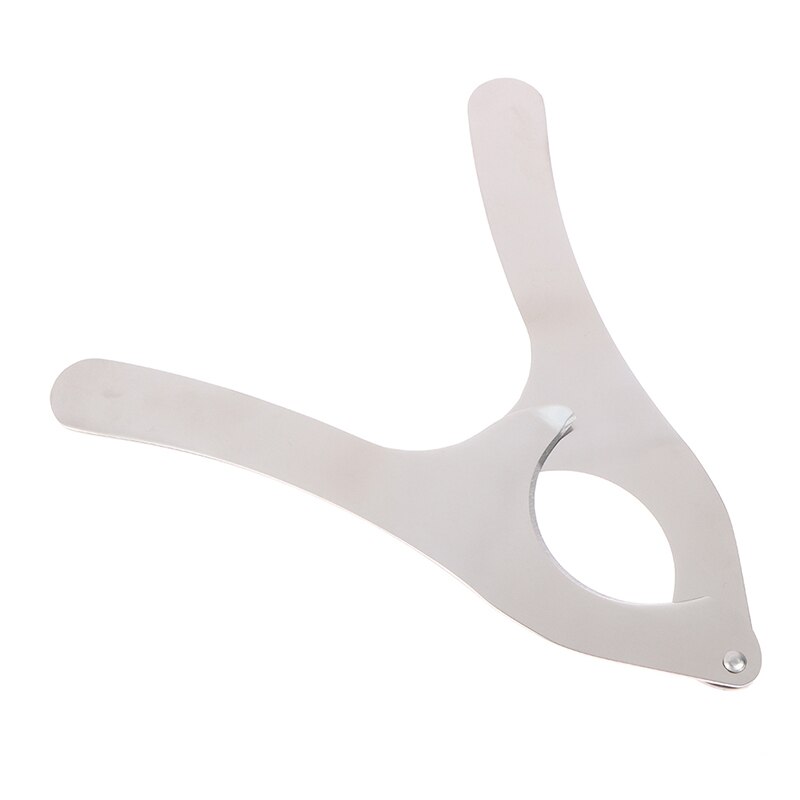 1Pc Zee-egel Opener Schaar Echinus Tang Kastanje Open Cutter Professionele