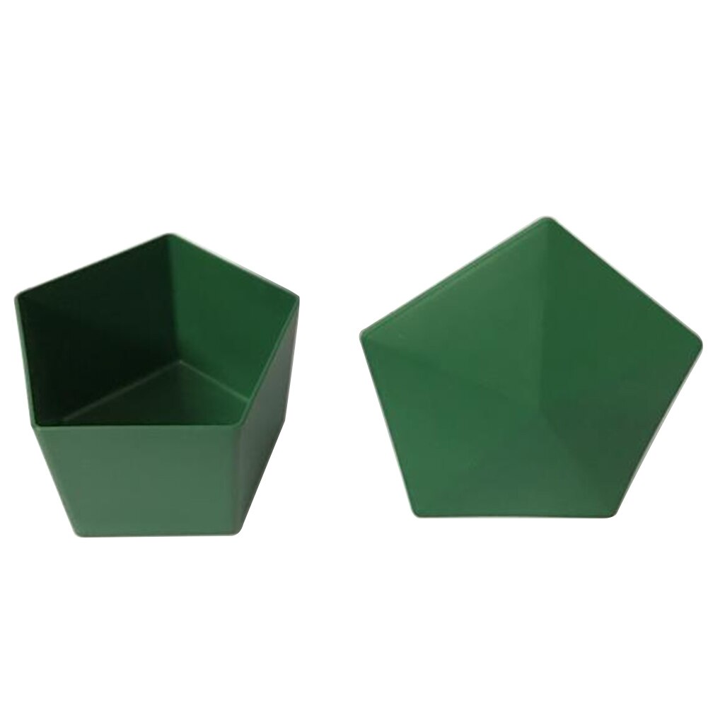 Box Snail Trap Slug Farm Protector Reptile Leech Eco-friendly House Clear Planarian Garden Tool Cage Plastic Catcher