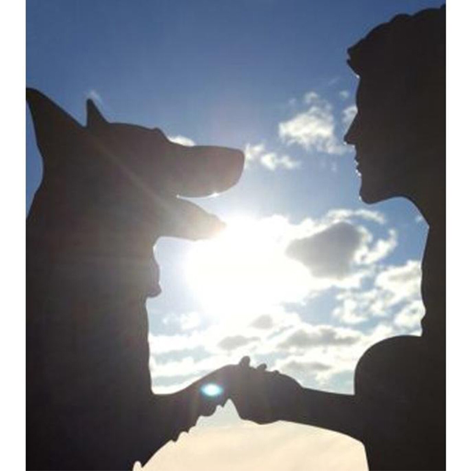 Weather Vane Animals Wind Direction Indicator Yard Outdoor Garden Art Decor