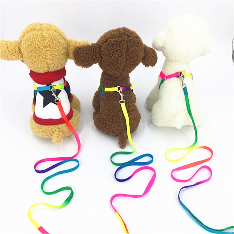 Breakaway rainbow nylon kat kæledyr halsbånd sele snor sæt til katte hund små kæledyr justerbar kanin hunde snor katten halsband