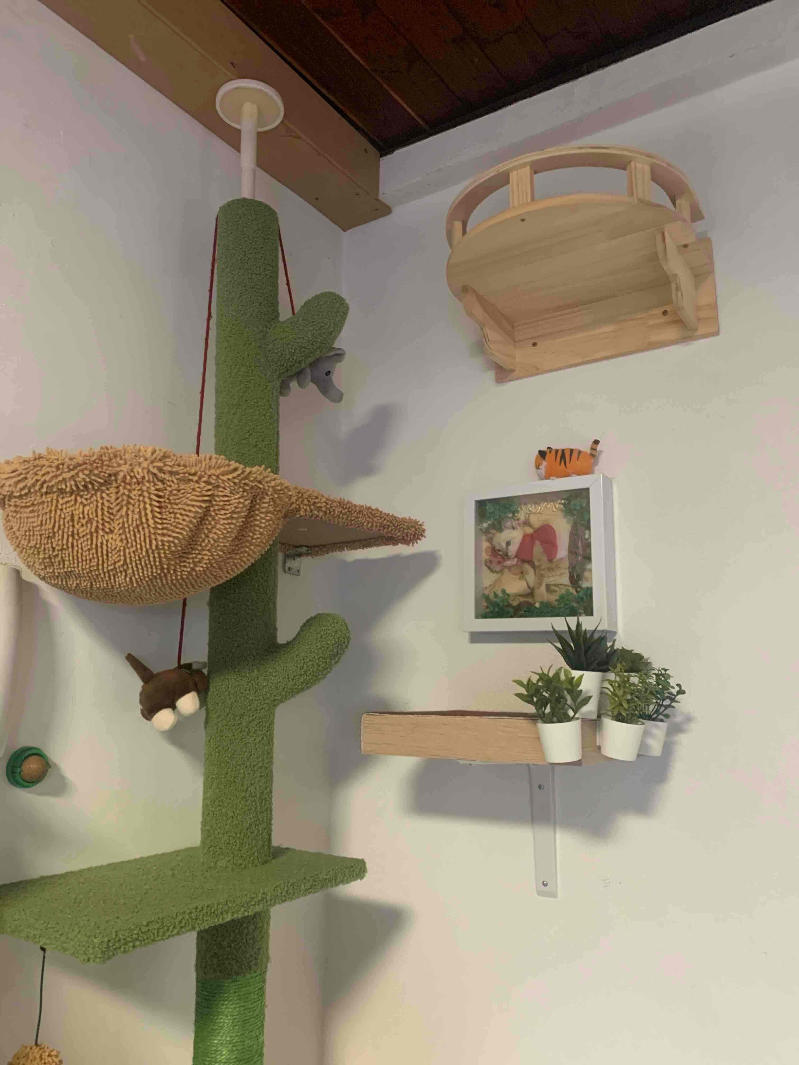 Cat Wall Mounted Wooden Climbing Shelves Cat House and Hammock for Platform and Ladder Turning Channel for Cat Indoor Furniture