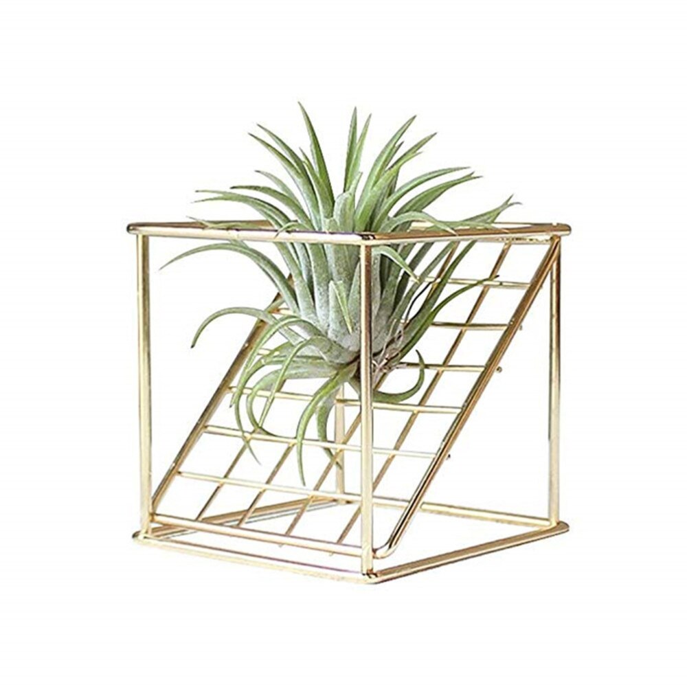 Flower Frame Wrought Iron Square Oblique Grid Line Vase Flower Stand Square Base Plant Display Rack for Office Home Black
