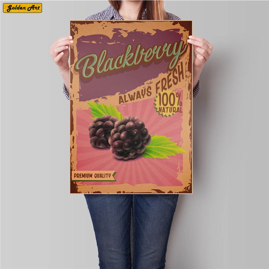 Hedelmä ruoka piirustus vintage voimapaperi juliste baari kahvila seinätarra taidemaalaus retrotaide maaliprintti kuva 45.5 x 31.5cm: Harmaa