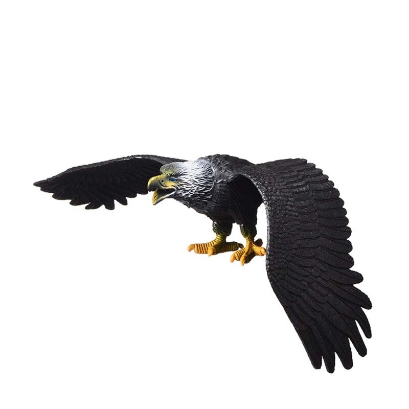 Simulatie Effen Statische Vogels Model Ornamenten Realistische Eagle Kinderen Educatief Props Scene Decoratie Kinderen Speelgoed: Black