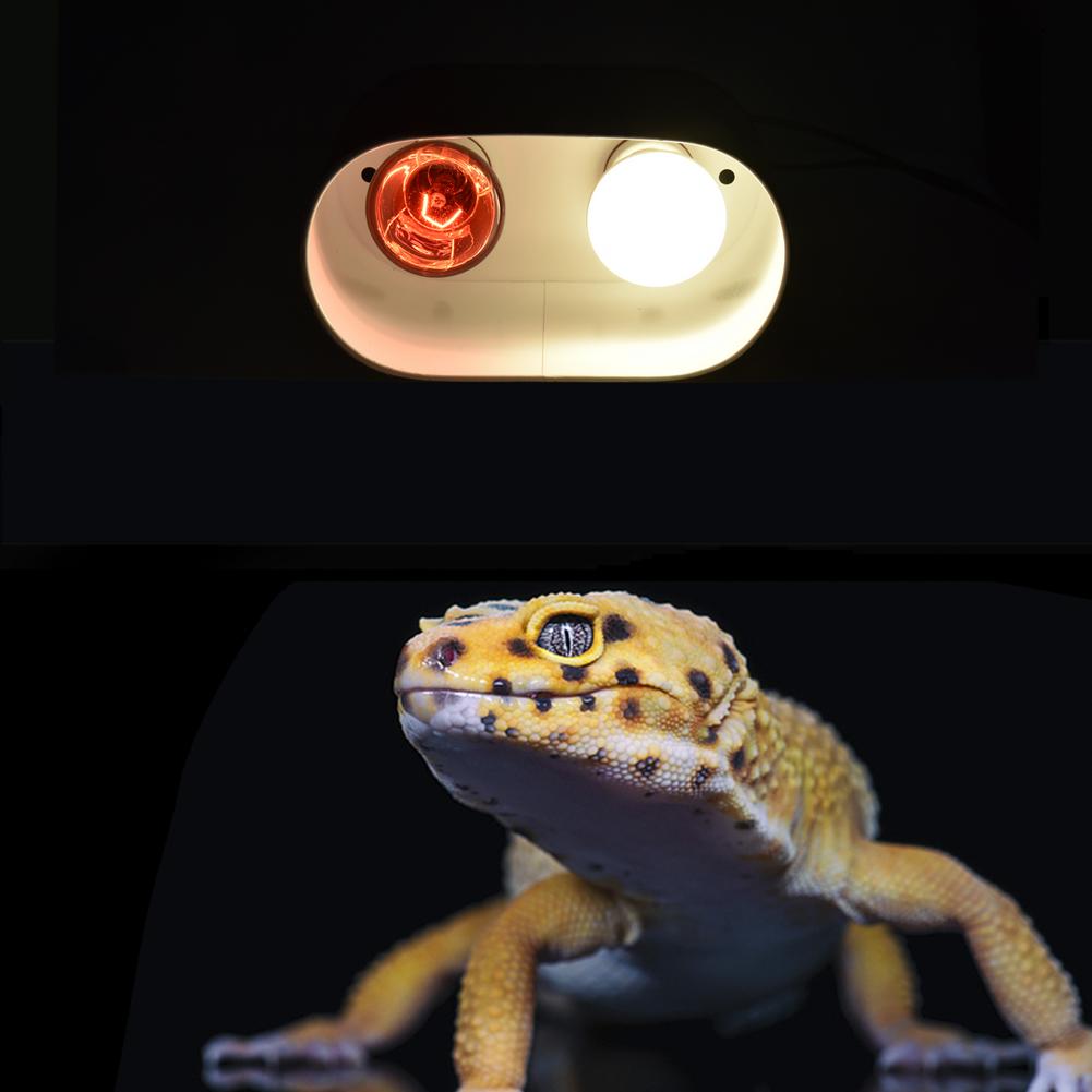 Dubbel reptil lampa för reptil dome uvb lampa dubbel lampa lock kombi integration värmeljus lampa kit