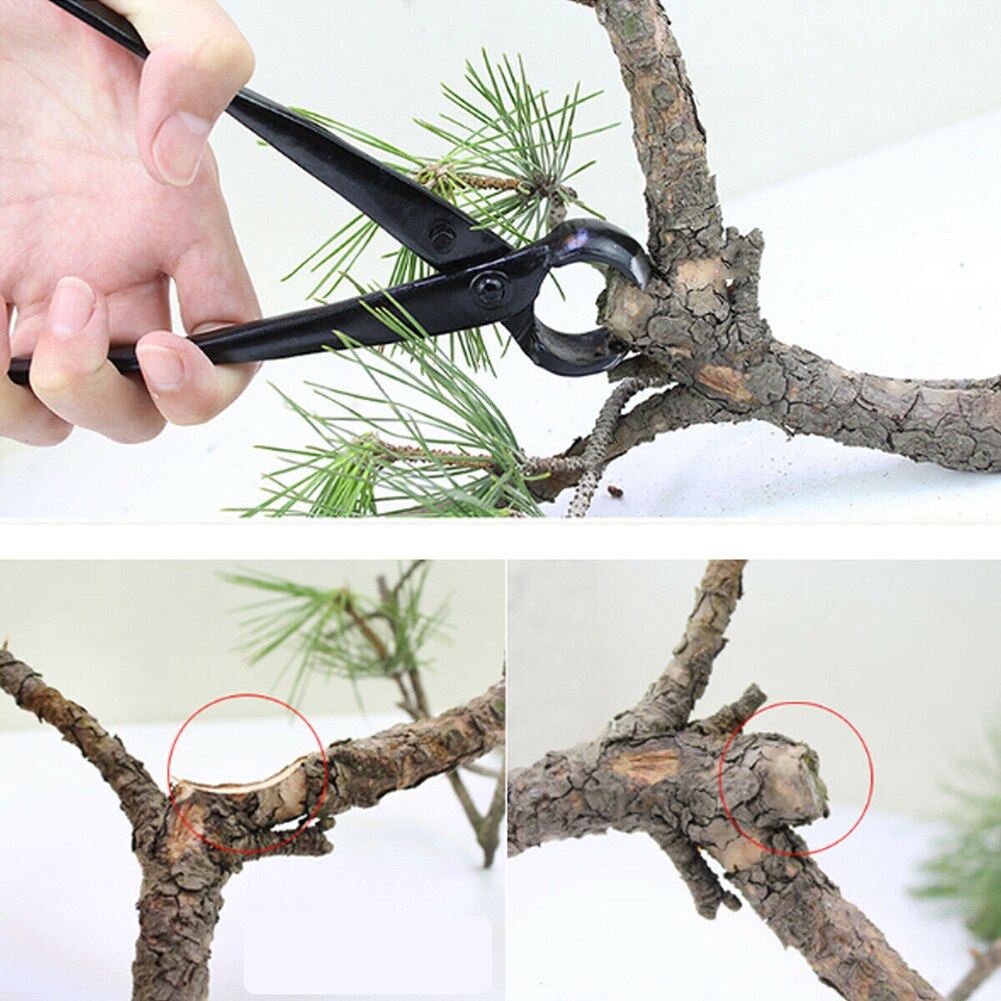 Orchard Branch Cutter Concave Cutter Manganese Steel Bonsai Pruning Tools 40 mm Maximum Opening Gardening Tools