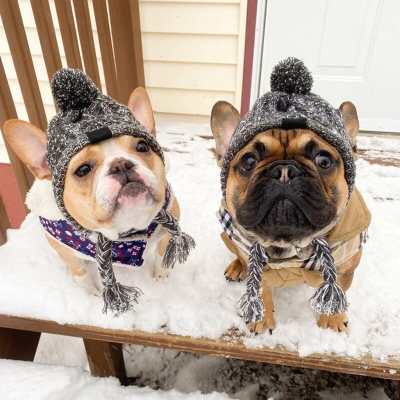 Winter Warme Hond Gebreide Muts Winddicht Hoofddeksels Voor Herfst Kat Hoed Puppy Kleine Dieren Huisdier Producten Gebreide Heagear