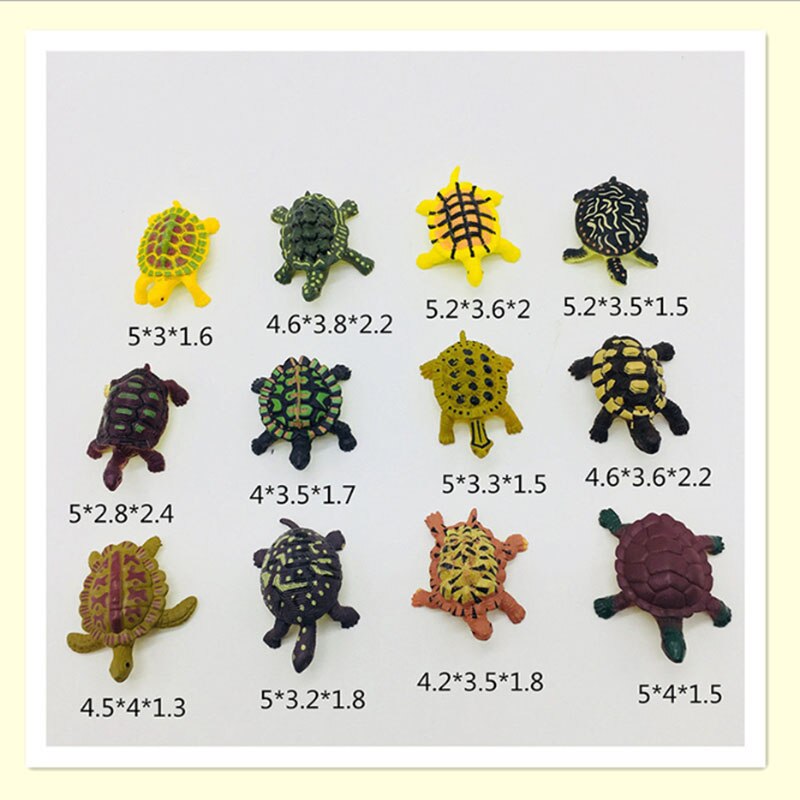 Simulation Insect Animal Model Kids Toys Marine Life Farm Animals Children's Early Education Toy 12PCS Per Model Brain Gme: 19