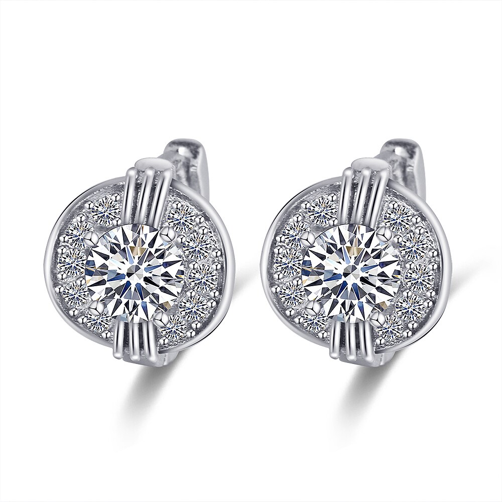 Classic Rose Gold Hoop Earring Voor Vrouwen Exquisite Hollow Craved Patroon Kristal Oorbel Mode Bruiloft Sieraden Voor Vrouwelijke: Silver Earring