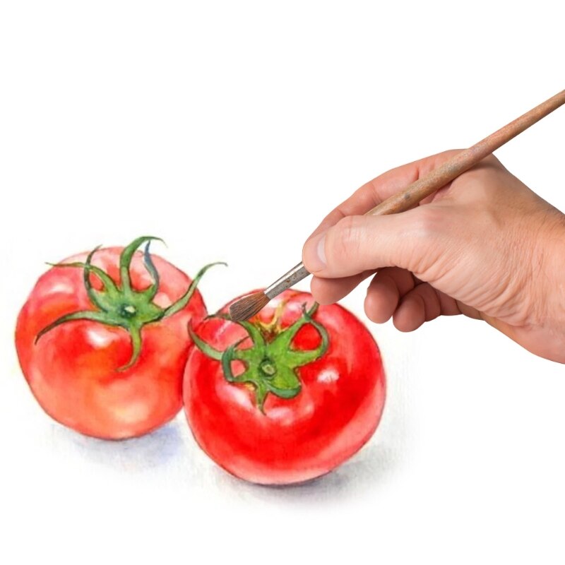 Gouache Set 24 Levendige Kleuren Niet Giftig Schildert Met Draagbare Case Palet Voor Kunstenaar Canvas Schilderij Aquarel Papers