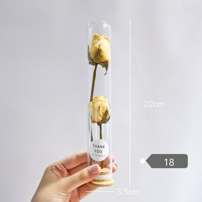 Dried Flower Glass Test Tube Decorations Family Living Room Study Specimens Ornaments: 18
