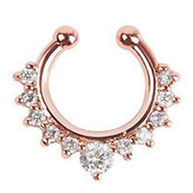 Legering Hoop Nose Ring Neus Piercing Nep Piercing Septum Clicker Nummers Hanger Voor Vrouwen Lichaam Sieraden: C