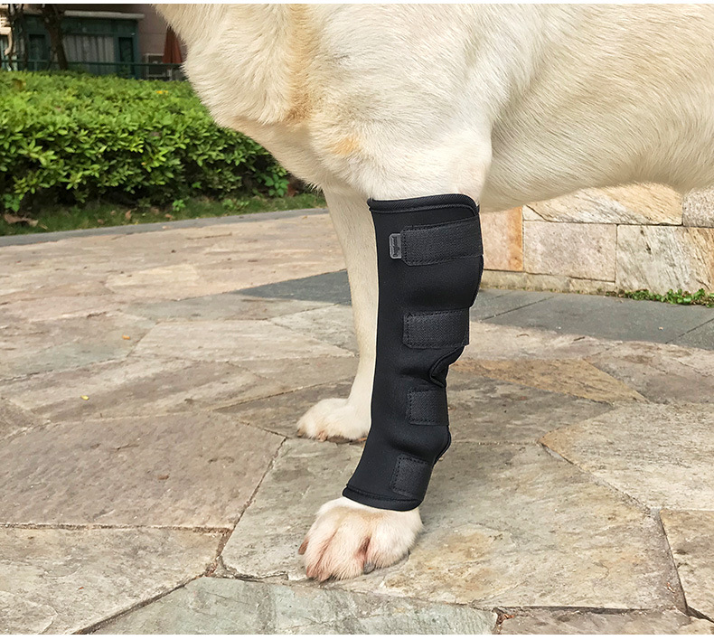 Hundearmaturer dække støtte kappe kæledyr benskade anti-slik slidgigt fast opsving bandage indpakket ben