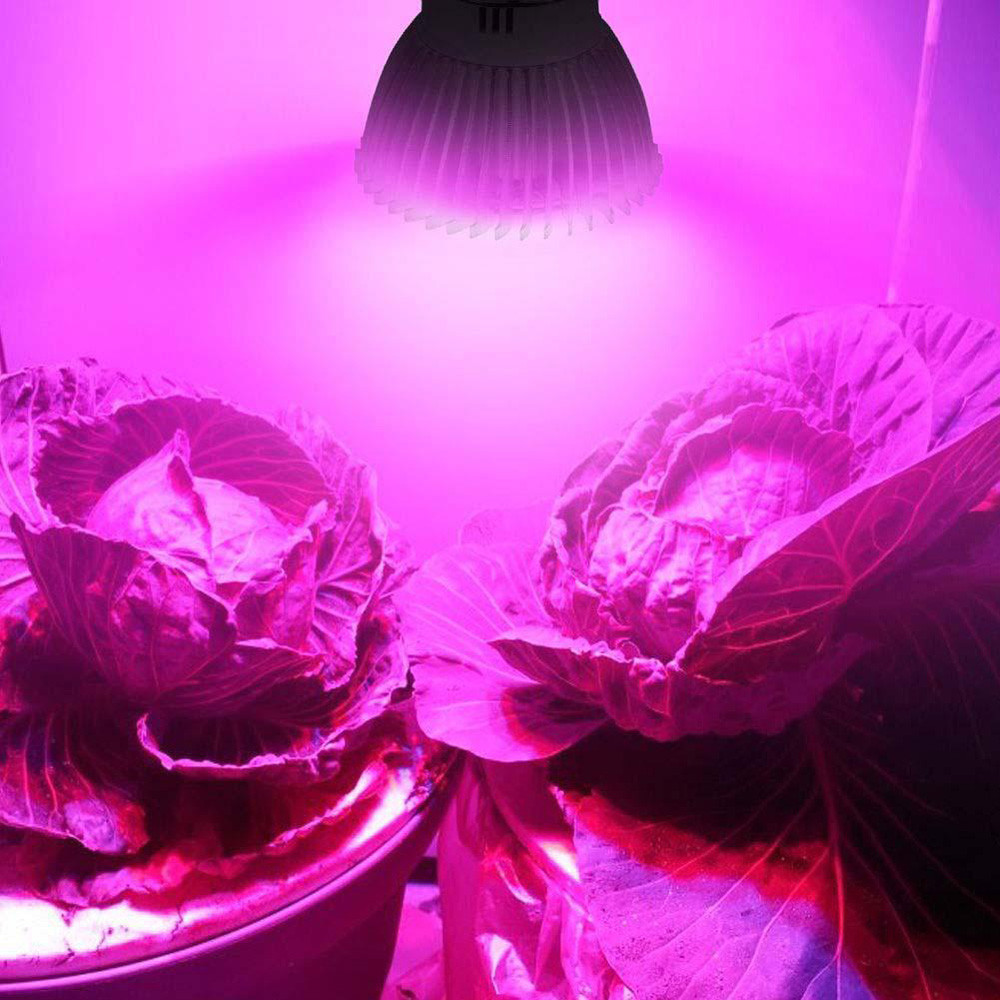 Led Grow Light Volledige Spectrum 28W E27 Led Bloem Zaad Planten Growlamp Voor Planten Bloemen Kas Hydrocultuur Фитолампа X2