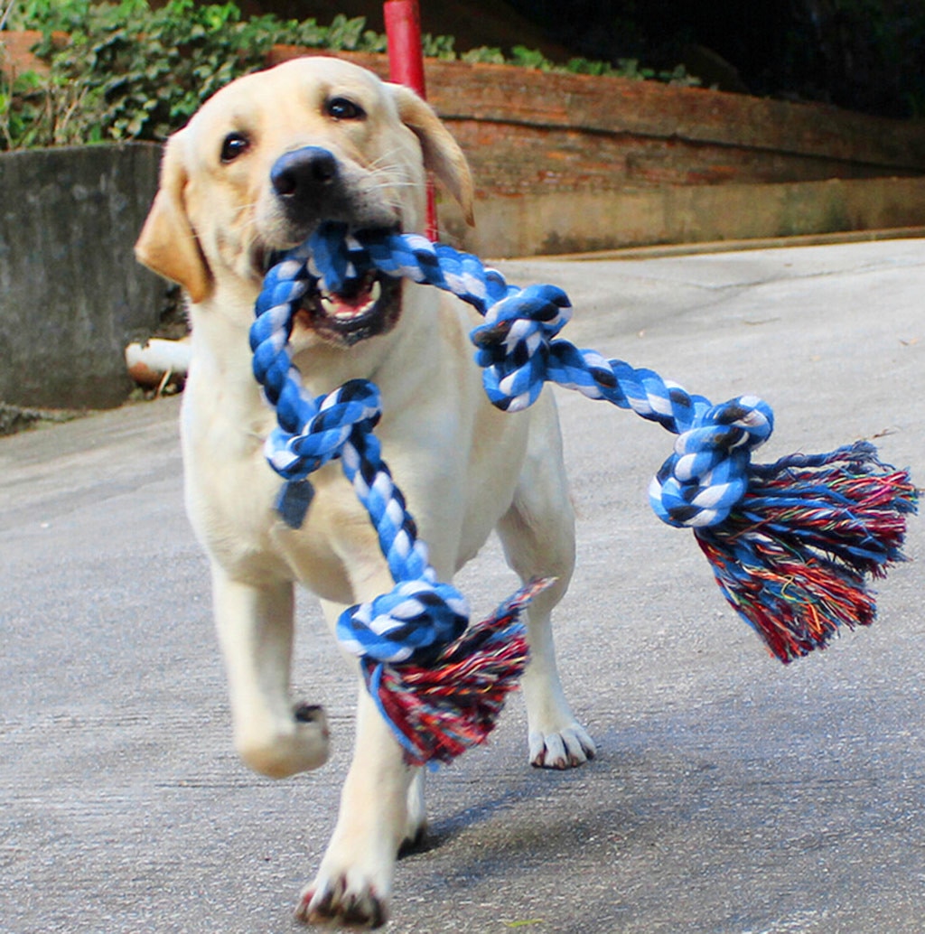 Pet Indestructible Dog Chew Toy Tough Nature Cotton for Medium and Large Breed Funny Simulated Bone Braided Rope Chew Knot Toys