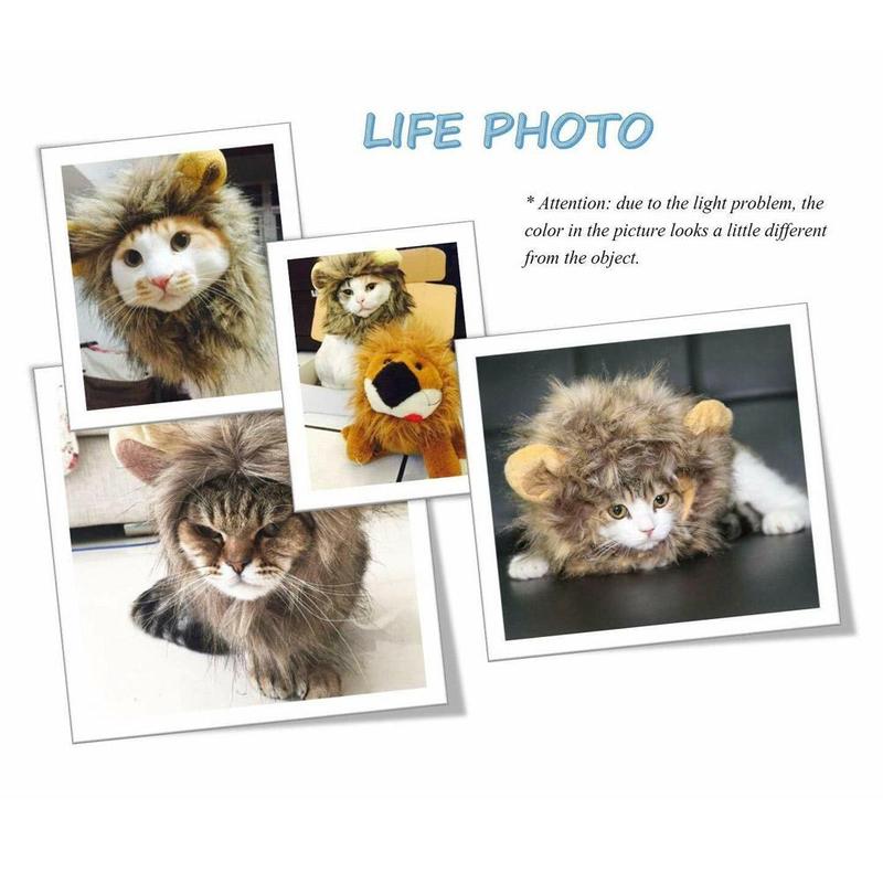 Futrzana czapka dla kota kostium w stylu lwa peruka dla kota Halloween śliczny kostium dla zwierząt z uszami imprezowe zwierze domowe kot akcesoria