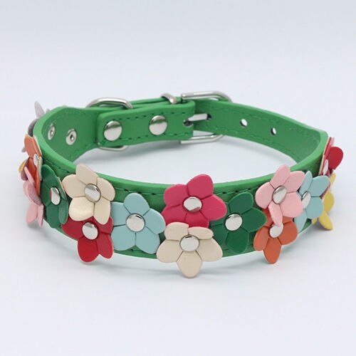 Colours Flower Studded Dog Coller Collar Pu Leather Pet Puppy Cat Neck Strap: Green / M