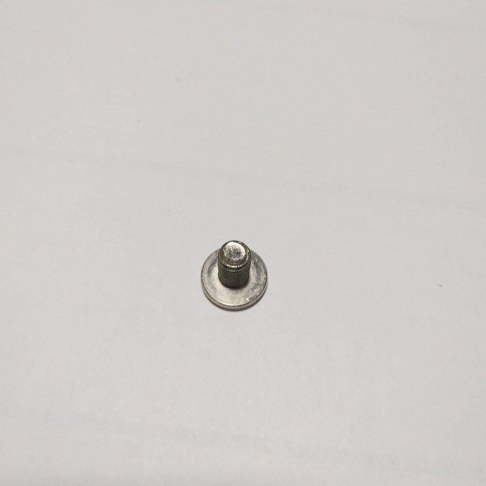 Schraube für hinten suspension der Speedway mini4