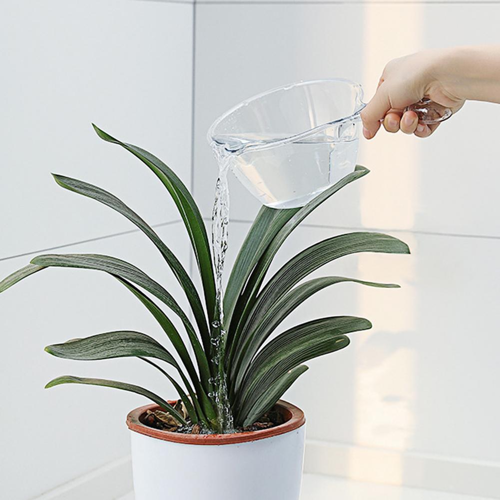 Louche à eau en plastique Transparent, 1 pièce, cuillère à eau épaissie de grande capacité, louche à eau transparente pour le jardin, fournitures de cuisine