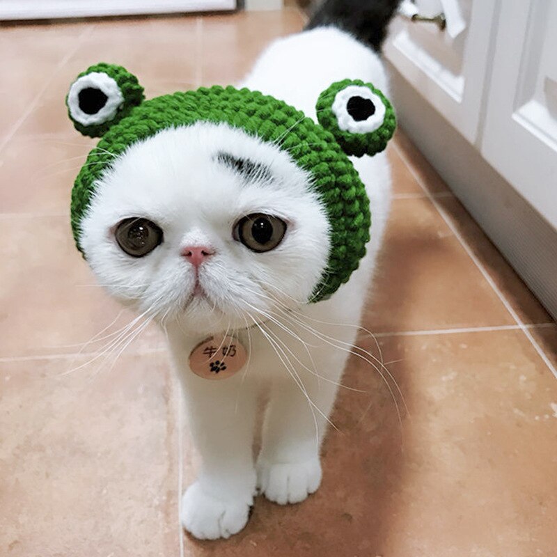Gorros de lana de punto con dibujos animados para gato, cachorro, gato, Rana, cabeza de disfraz, engranaje, forma de rana, gorro de gato para invierno, accesorios para disfraz de Mascota