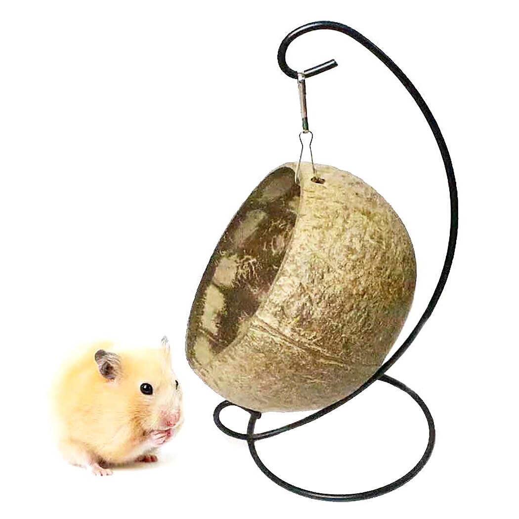 Łupina kokosa chomik hamak gniazdo miękkie wiszące małe zwierzę łóżko dom chomik zabawkowa huśtawka wiewiórka szynszyla Hous