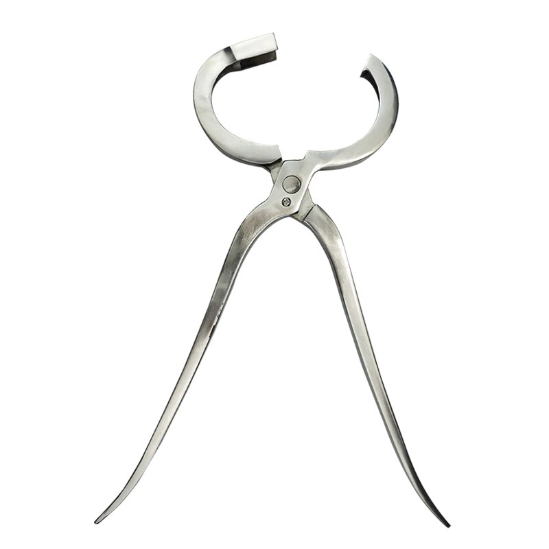Alicates de punta de acero inoxidable para ganado, abrazadera de instalación de anillos de Nariz de vaca, caballo, herramientas de granja, 1 ud.