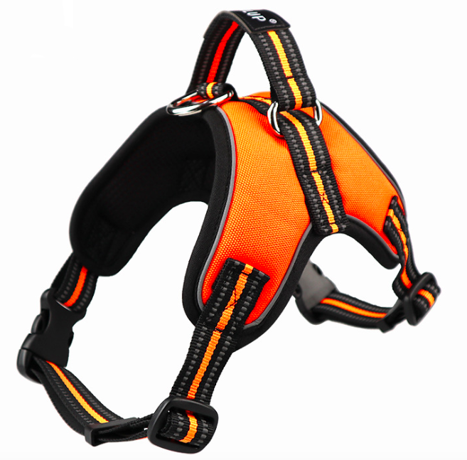 Hond Harnas Tailup Huisdier Producten Verstelbare Reflecterende Vest Wandelen Lead Leash Voor Puppy Mesh Harnas Voor Kleine Middelgrote Hond: Oranje / M