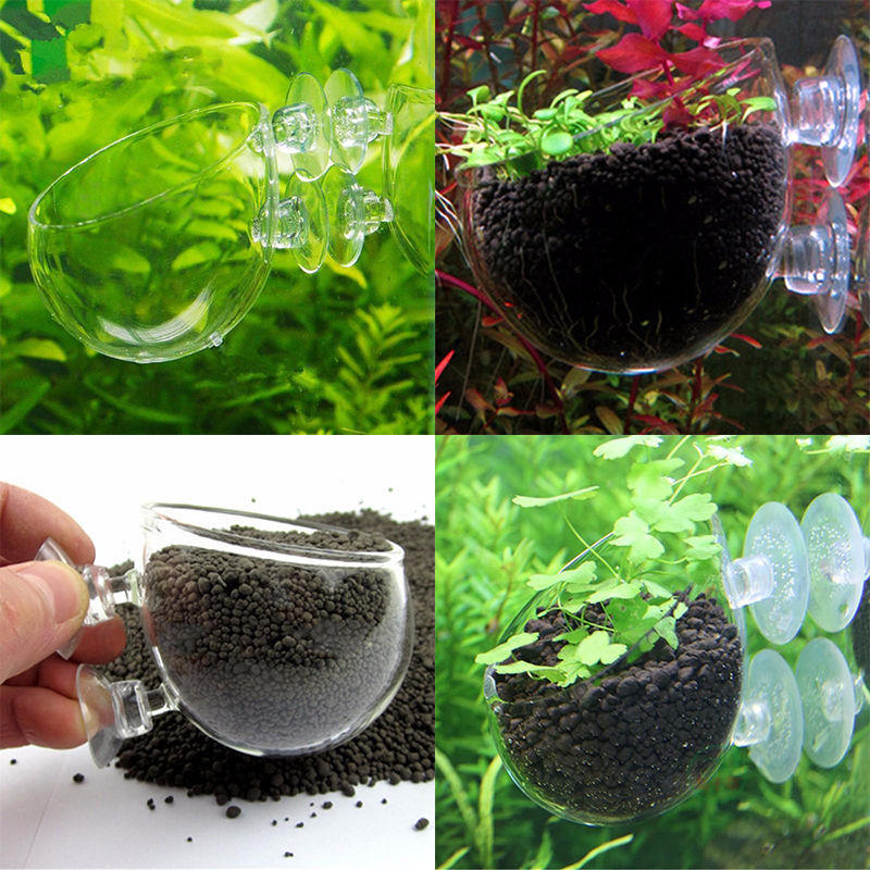Mini Crystal Glas Waterplanten Fokken Landschap Cup wandmontage met Zuignap Thuis Aquarium Decoratie Zaailing Cup