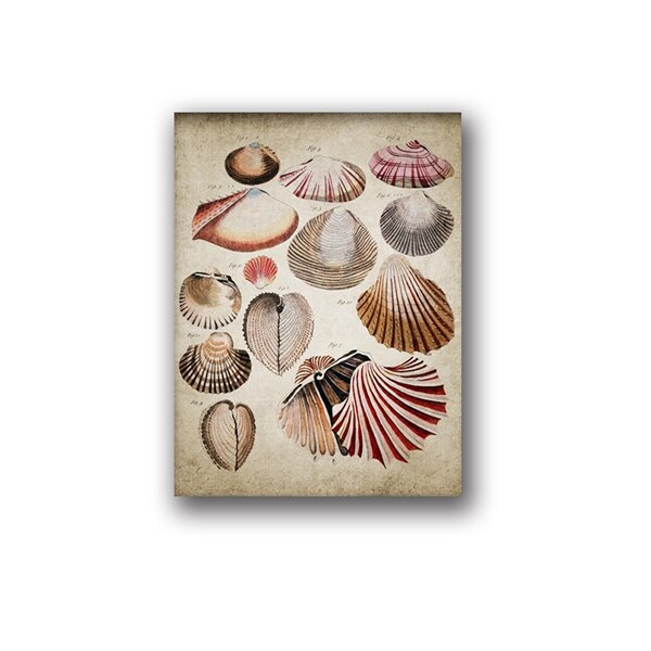 Cuadro de pared biológico de concha de estrella de mar, Retro océano, pintura Vintage, póster de papel Kraft: Dorado / 21x30cm No Frame