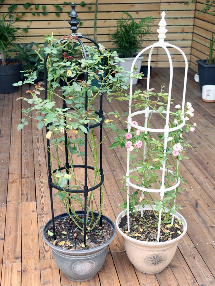 Metal Plant Climbing Frame, Outdoor Flower Stand, Trellis DIY, Tomato Vegetable Vines Plants Potted Support, Home Garden Decor