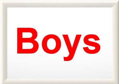 Bavaglini per neonati, bavaglini ricamati per neonati, 5 pezzi, cotone, bavaglini per neonati, accessori per neonati: Boys