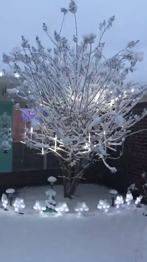 Kerstverlichting buiten voor buiten waterdichte led meteorenregen led lichtsnoer boom tuin decoratieve lamp