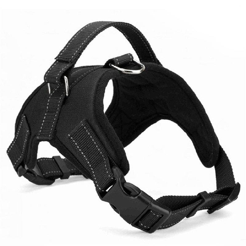 Pawtitas Step-In Dog Harness – Nylon, Adjustable, Extra Small To Large, Solid Colors