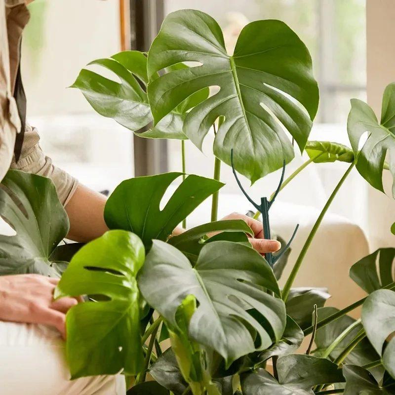 Soportes de soporte para plantas de ramita, estacas de crecimiento de plantas verdes apilables, estacas de escalada desmontables Monstera para interiores y exteriores, 24/3 Uds.