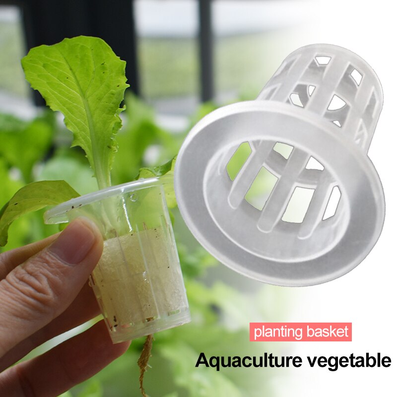 10 stk hvid mesh pot netto kop kurv + klon kloning krave skum indsætte hydroponic vegetabilsk plante vokse frø spire