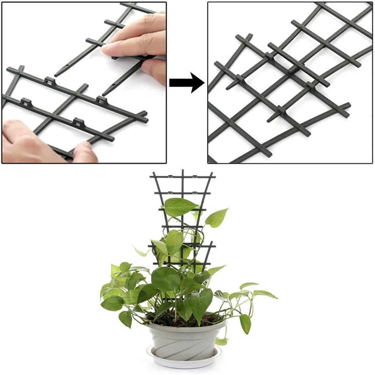 7 Shapes Plant Support Stand Plastic Cactus Racket Climbing Frame Balcony Flower Potted Fixed Rod Tomato Strawberry Supporter