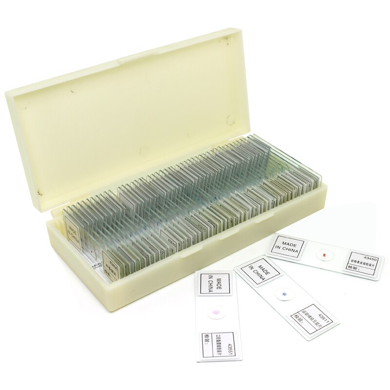 Microscope biological section biological specimens 50 pieces in box