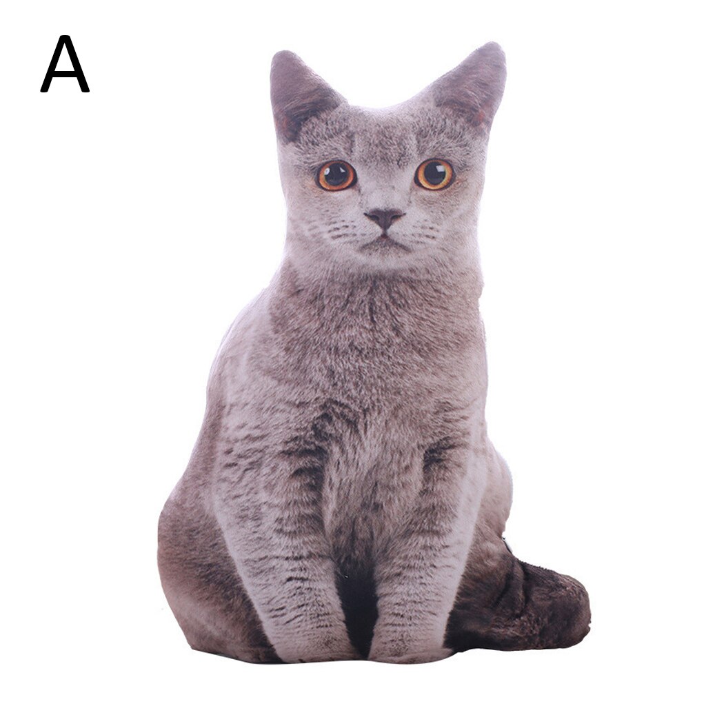 Coussin en peluche lavable 50cm | Simulation 3D, coussin de chat en peluche, coussin de chat en forme de dessin animé, pour enfants, décor de maison: C