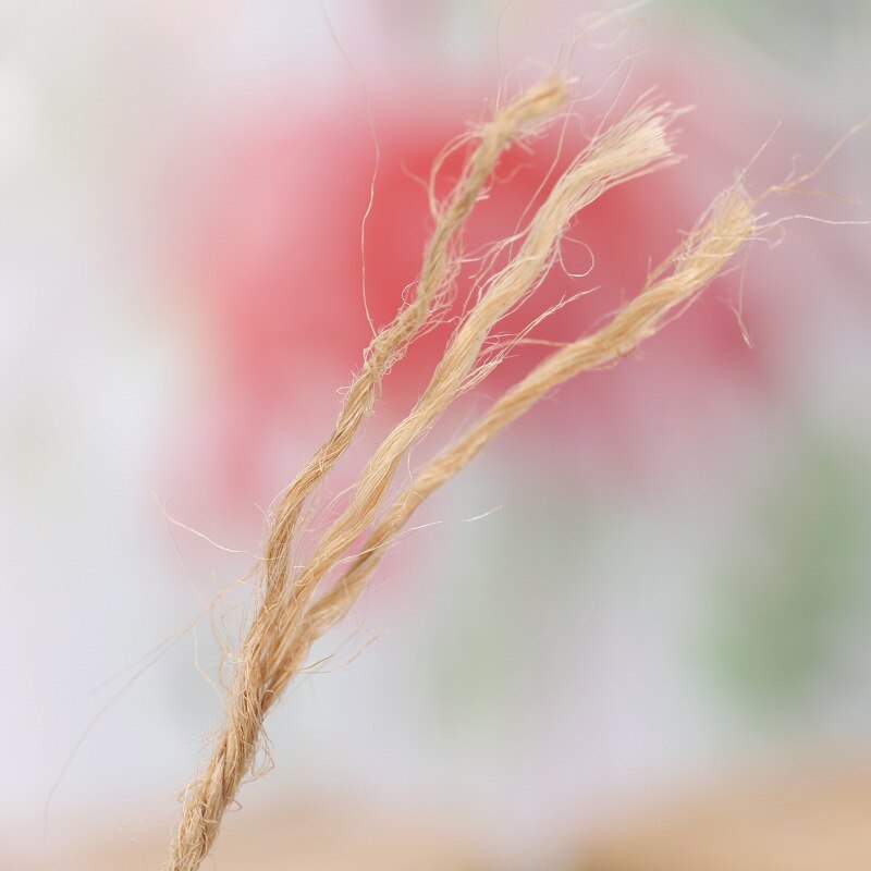 Natural Jute Twine Brown Twine String for Crafts, Wrapping, Crocheting and Gardening Applications