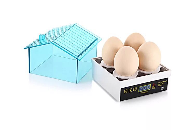 4 Mini Cheap Price Digital Temperature Small Brooder Egg Incubator Hatcher Chicken Duck Bird Pigeon Quail poultry equipment