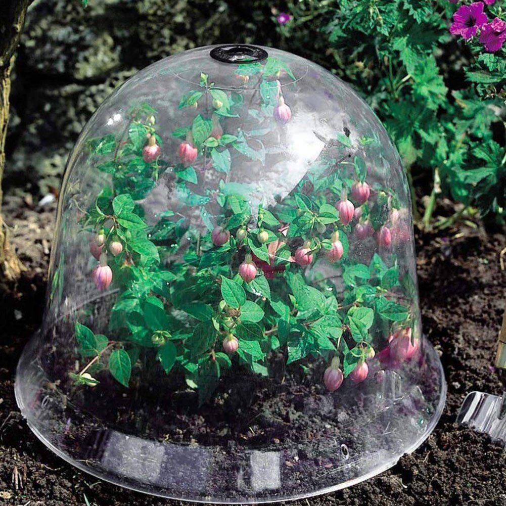4PCS Plant Dome Bell Cover Anti-Freeze Transparent Plastic Greenhouse For Outdoor Garden Backyard Mini Protector Cover