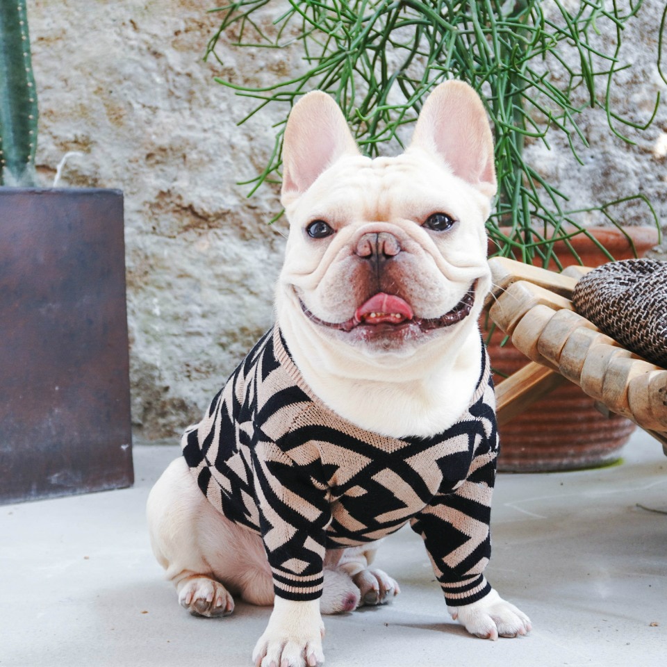 Koiran neuleet keskikokoisille koirille talvi lemmikkikoiran vaatteet koirille takki takki puuvilla ropa perro ranskanbulldogin vaatteet pentu puku