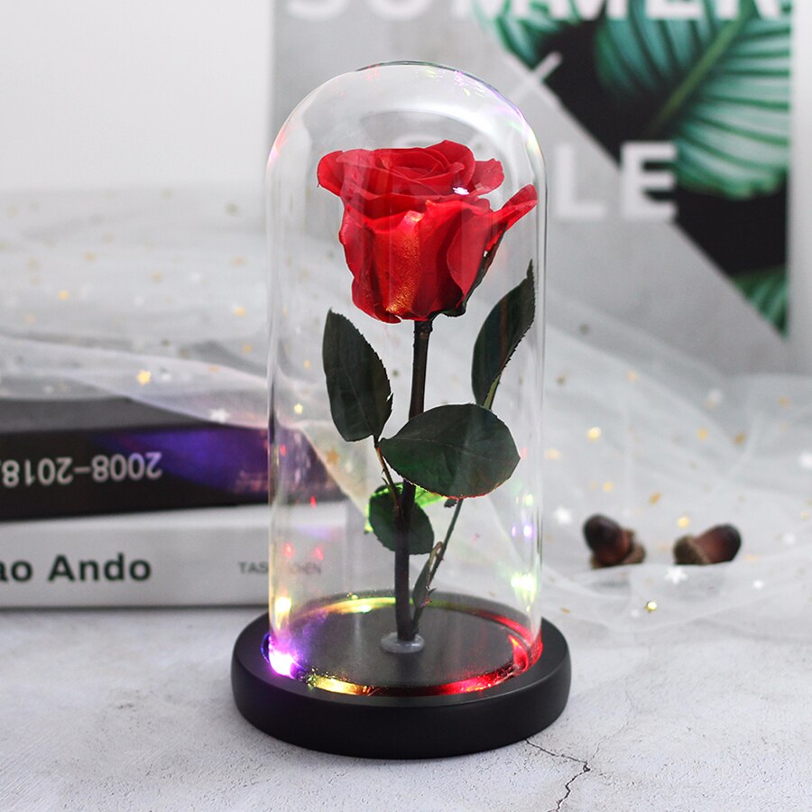 Skønheden og udyret evig rød rose i en glaskuppel med led lys sort base til valentins mors dag: En rød