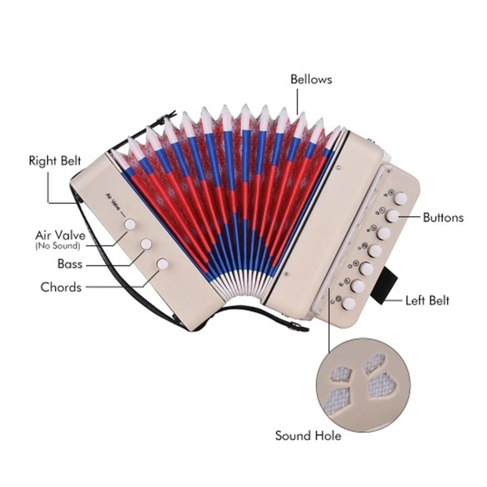 Mini acordeón de juguete para niños, 10 botones compatibles con bajos, acordeón de 14 notas con paño de limpieza, instrumento Musical educativo para niños